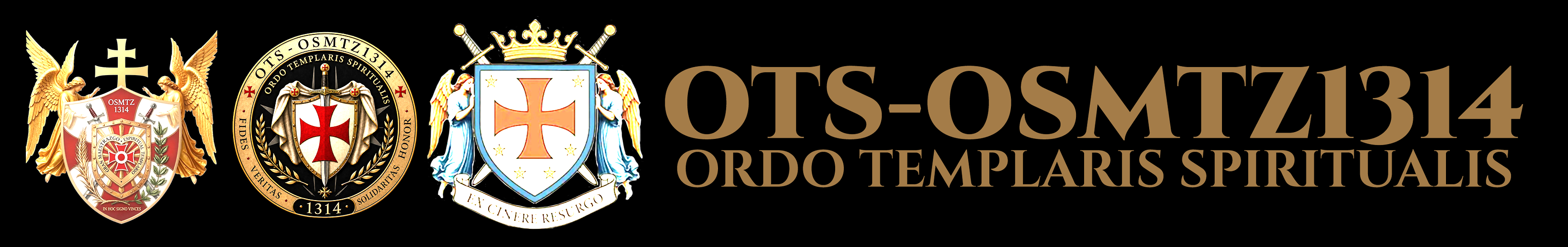 OTS-OSMTZ1314 Logo